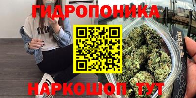 ECSTASY Сланцы