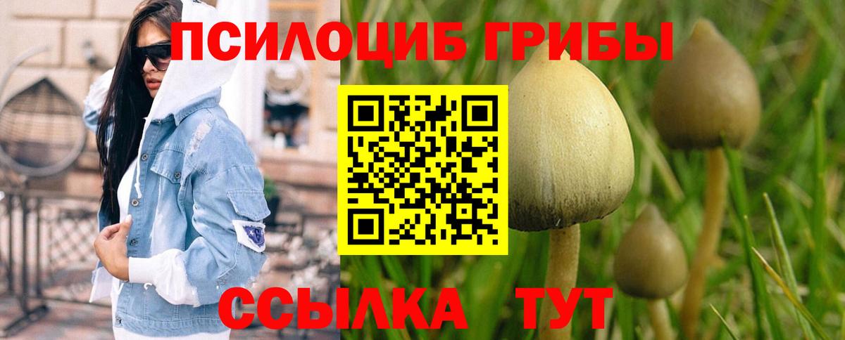 Славянск-на-Кубани  Галлюциногенные грибы ЛСД  Вход с VPN 